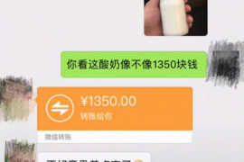 保亭为什么选择专业追讨公司来处理您的债务纠纷？